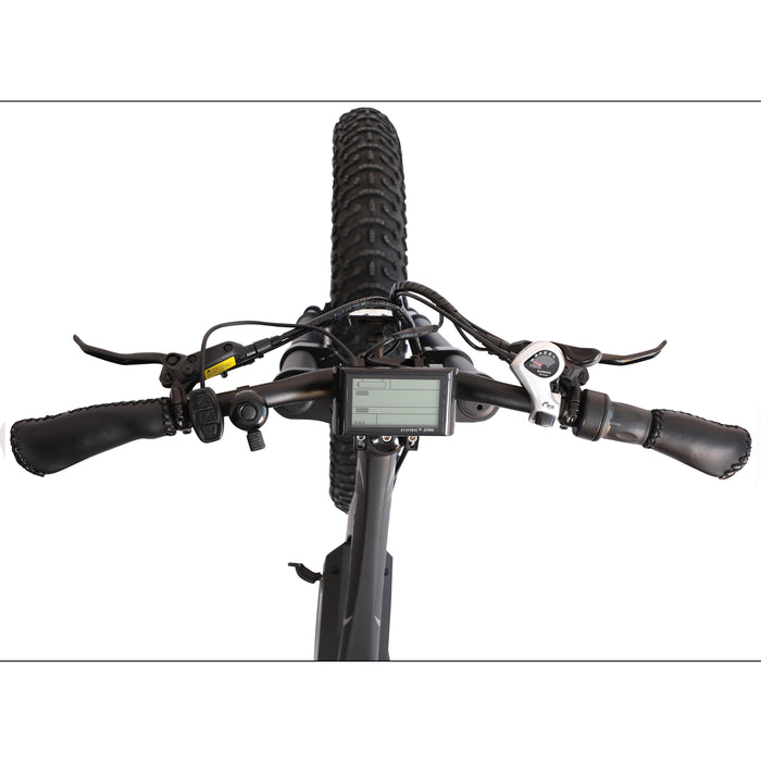 Ecotric 48v 17.5AH 1000W big fat tire ebike Bison-Matt Black