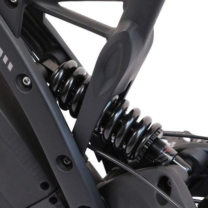 Ecotric 48v 17.5AH 1000W big fat tire ebike Bison-Matt Black