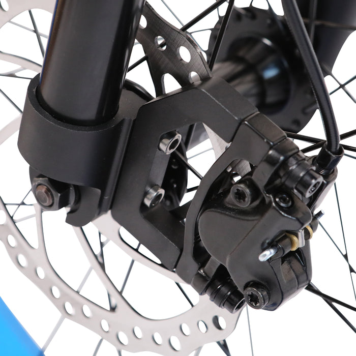 Ecotric 48v 17.5AH 1000W big fat tire ebike Bison-Matt Black