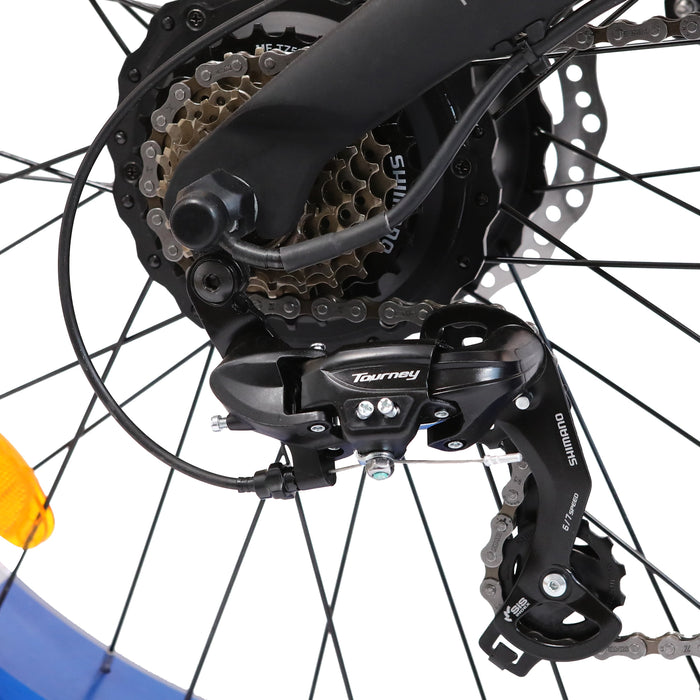 Ecotric 48v 17.5AH 1000W big fat tire ebike Bison-Matt Black