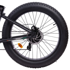 UL Certified-Ecotric Hammer Electric Fat Tire Beach Snow Bike