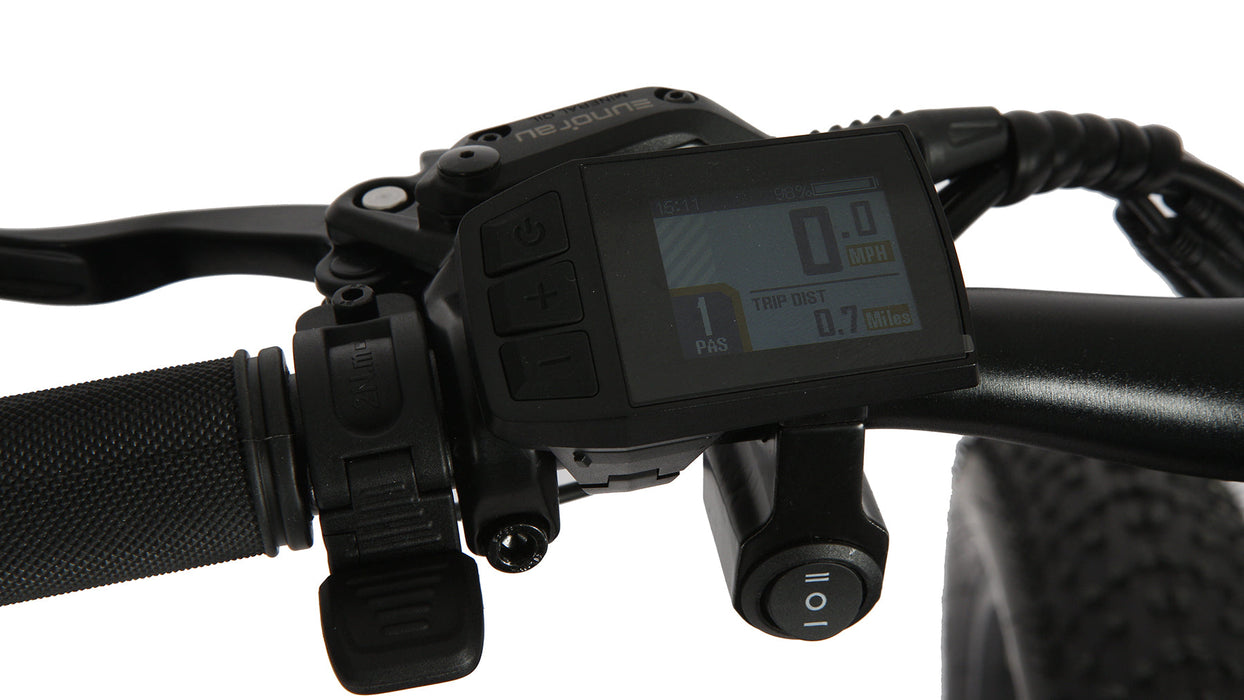 FAT-AWD 2.0 Eunorau 26" Fat Tire E-Bike