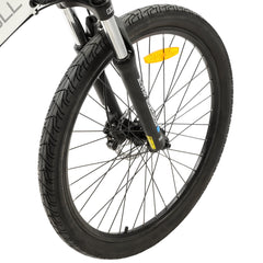 Ecotric Seagull Electric Mountain Bicycle