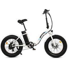 UL Certified-Ecotric 20inch white portable and folding fat bike model Dolphin