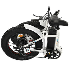 UL Certified-Ecotric 20inch white portable and folding fat bike model Dolphin